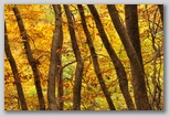 I Colori dell'autunno in Abruzzo
