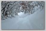 La nevicata del 3 febbraio 2012: le foto scattate domenica a L'Aquila e dintorni. La zona di Scoppito sotto il Monte Calvo.