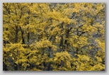 I Colori dell'autunno in Abruzzo