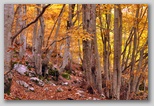 I Colori dell'autunno in Abruzzo