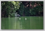 Lago di San Domenico, tra le Gole del Sagittario, tra Anversa degli Abruzzi e Villalago ai margini del Parco Nazionale d'Abruzzo, Lazio e Molise
