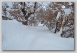La nevicata del 3 febbraio 2012: le foto scattate domenica a L'Aquila e dintorni. La zona di Scoppito sotto il Monte Calvo.