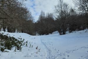 I Piani di Pezza