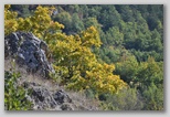 I Colori dell'autunno in Abruzzo