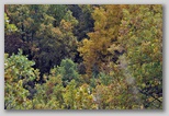 I Colori dell'autunno in Abruzzo