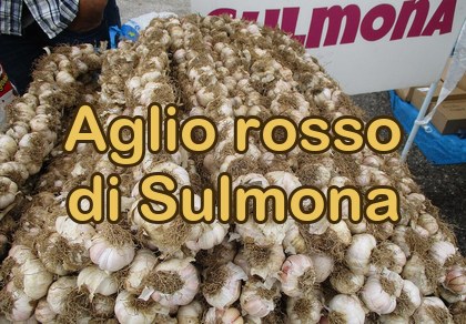 Aglio rosso di Sulmona