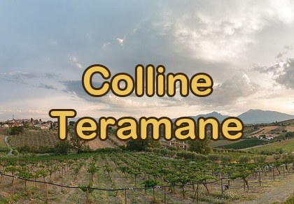 Colline Teramane DOCG