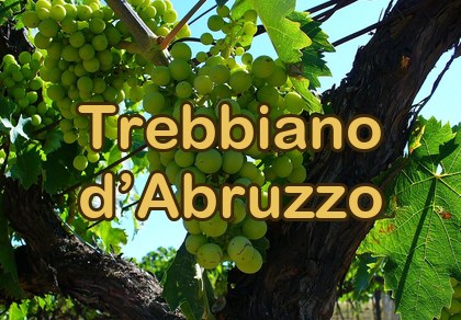 Trebbiano d’Abruzzo DOC