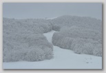 Parco Regionale del Sirente Velino