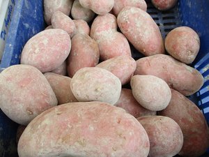 Patate e carote del Fucino – 2