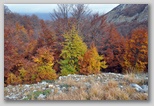 Val di Rose nel Parco Nazionale d'Abruzzo, Lazio e Molise