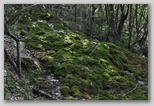 La riserva naturale di zompo Lo Schioppo, nell'Alta Valle del Liri, in Abruzzo