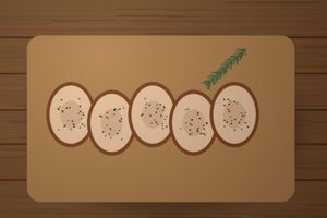 Porchetta aus Campli – 1